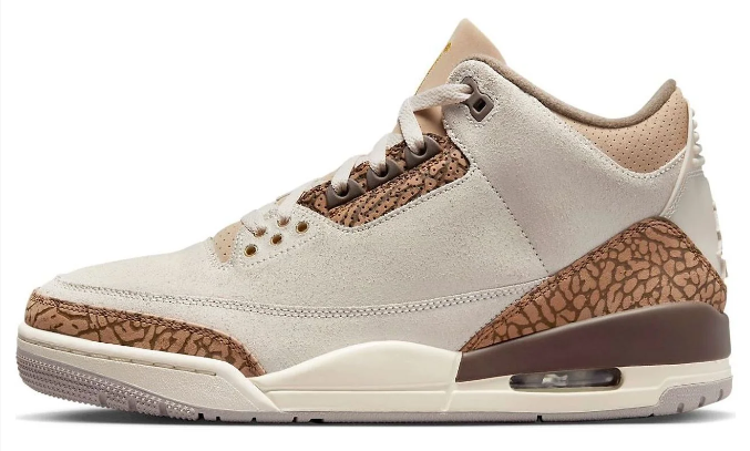 Air Jordan 3 Retro 'Palomino' Sneaker (CT8532-102)